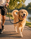 Heavy-Duty Reflective Dog Leash – Padded Handle | AU